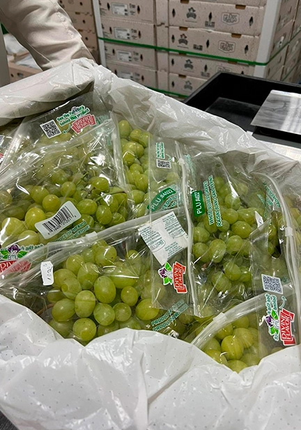 hortimaq-sachets-galeria-3