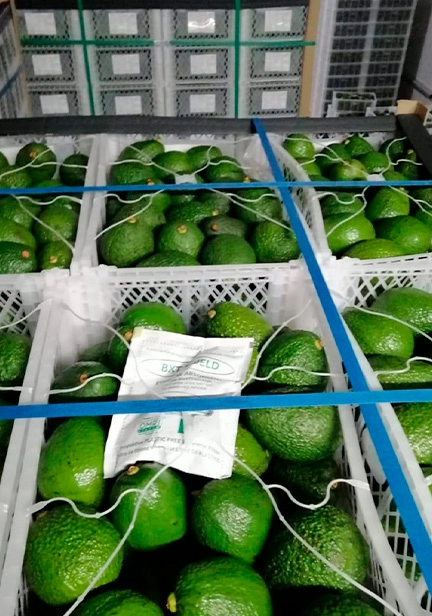 hortimaq-sachets-galeria-4