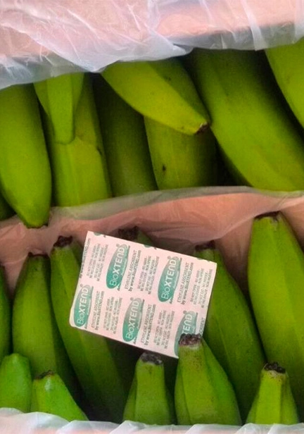 hortimaq-sachets-galeria-6